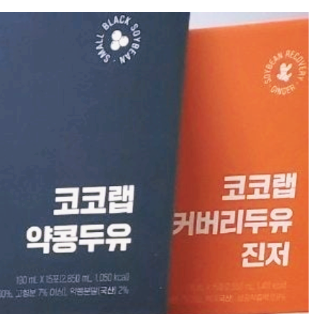 코코랩 약콩두유, 코코랩 리커버리 두유 등 26추석맞이 가을소풍 워크샵 후원-서도비엔아이(주)
